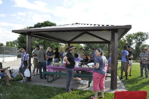 Parker Symphony Picnic 2017 1